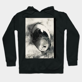 The eye of the old man and the sea Hoodie